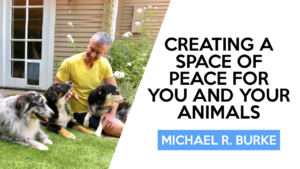 Creating A Space of Peace for You and Your Animals