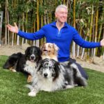 How to Calm and Clear Your Energy Body to Help You & Your Pets