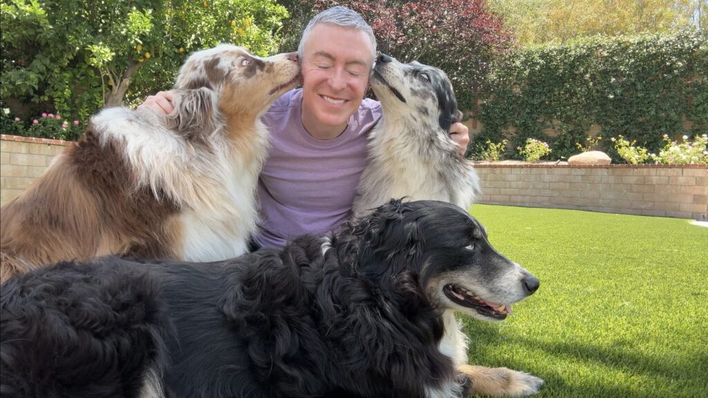 Man Smiling While Sitting on Grass as Three Dogs Cuddle and Lick His Face in a Sunny Backyard