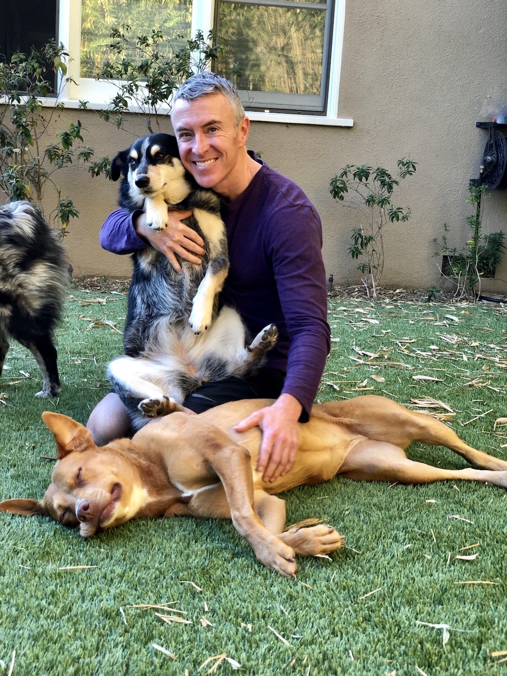 Man Smiling While Holding a Dog as Another Dog Relaxes on the Grass in a Backyard