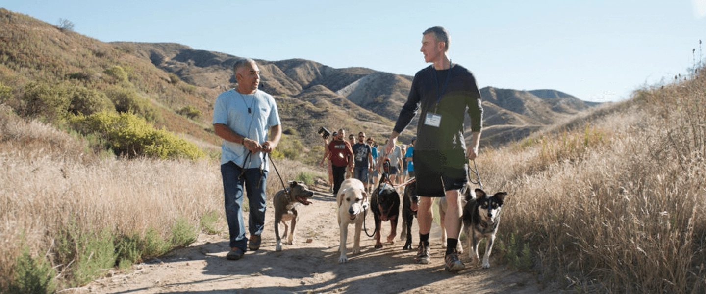 Two Men Leading a Group of Dogs on Leashes While Walking Along a Mountain Trail