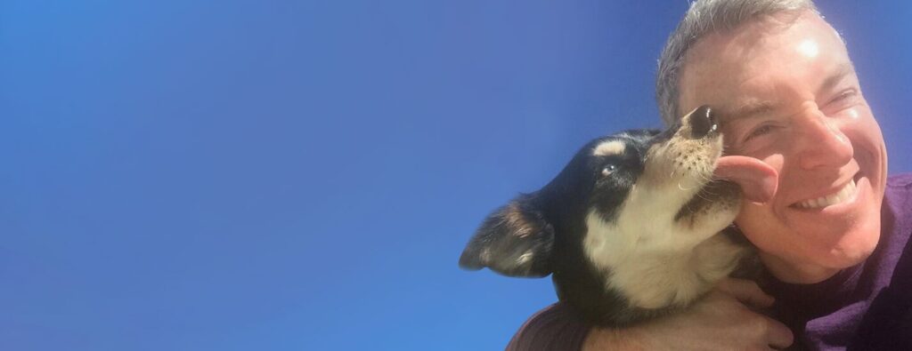 Dog Looking Upward Against a Clear Blue Sky