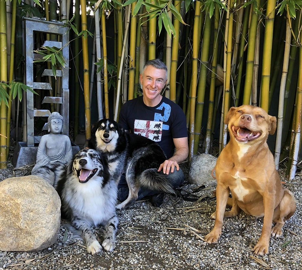 Man Sitting in a Bamboo Garden with Three Dogs