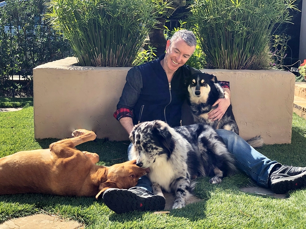 Man Relaxing on Grass Surrounded by Dogs Outdoors