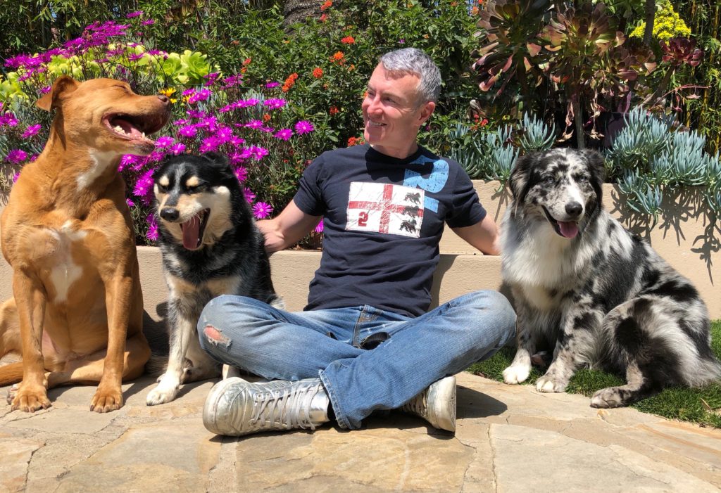 Man sitting on a stone patio surrounded by three happy dogs, with vibrant flowers in the background. The scene conveys joy and companionship.