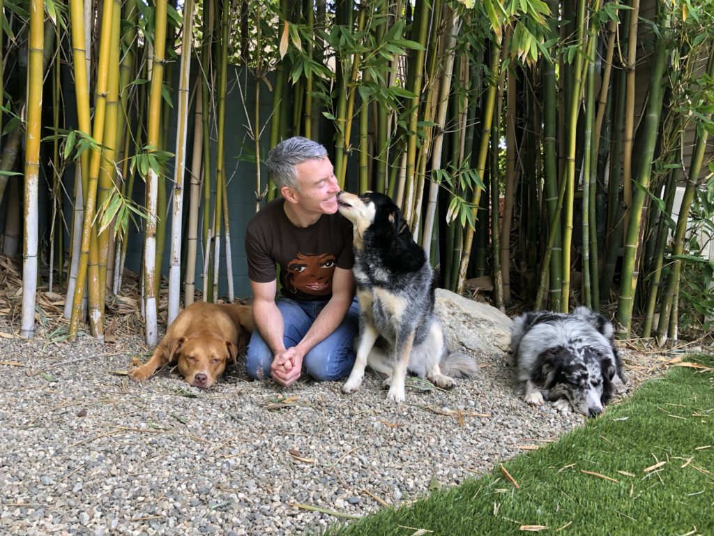 A man interacts affectionately with a dog in a bamboo garden, while two other dogs relax nearby on gravel. The scene captures moments of companionship.