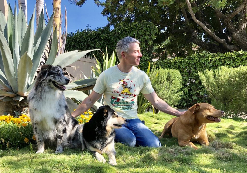 Man sitting in a garden with three dogs, enjoying a sunny day among lush greenery and colorful flowers, highlighting a bond with pets.