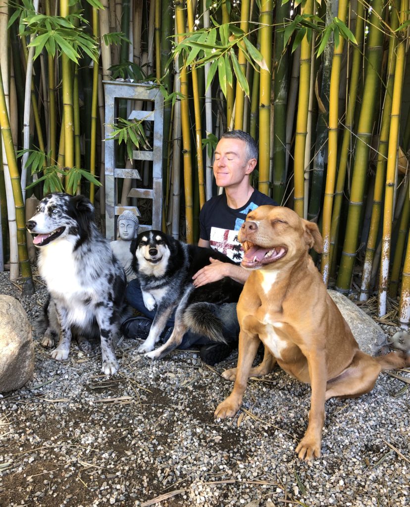 Man smiles blissfully as his dog affectionately licks his cheek in a sunlit bamboo setting, highlighting their bond and joy.