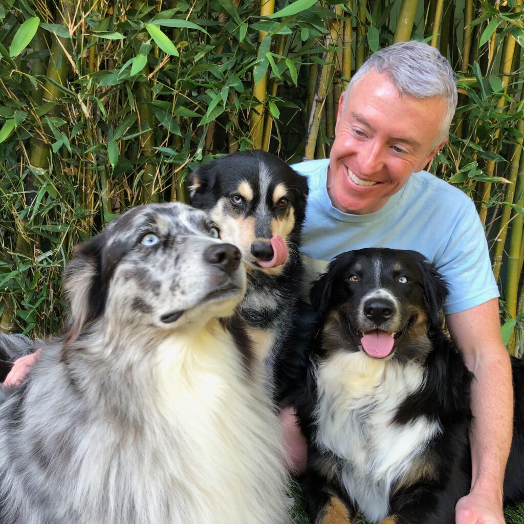 A man smiles joyfully with three dogs—two sitting close, one slightly turned. Bamboo greenery serves as a vibrant backdrop, enhancing the playful scene.