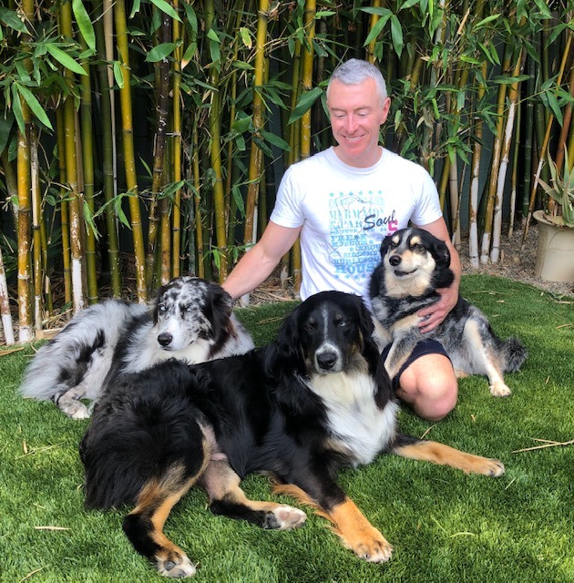 Man sitting on grass surrounded by three dogs, with bamboo in the background, creating a serene outdoor scene.