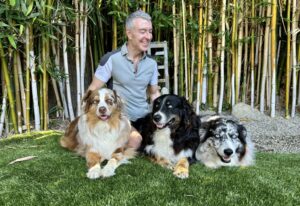 A man smiles while sitting on grass with three friendly dogs—two Australian Shepherds and one with merle fur—against a bamboo backdrop.