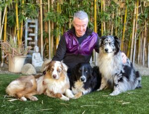 Man in a purple jacket seated on grass with three dogs: a brown Australian Shepherd, a black dog, and a blue merle. Bamboo and a statue in the background.