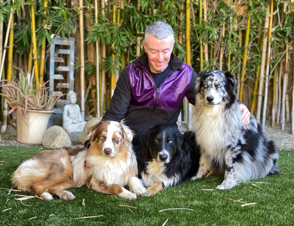 Man in a purple jacket seated on grass with three dogs: a brown Australian Shepherd, a black dog, and a blue merle. Bamboo and a statue in the background.