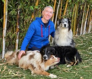 Man in a blue hoodie sits with three dogs in a bamboo setting, showcasing a friendly interaction in a natural environment.