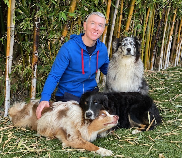 Man in a blue hoodie sits with three dogs in a bamboo setting, showcasing a friendly interaction in a natural environment.