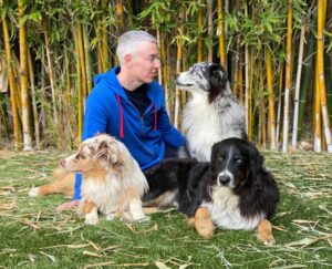 A man in a blue hoodie sits on artificial grass surrounded by four dogs, smiling while interacting with them. Bamboo stalks in the background add greenery.