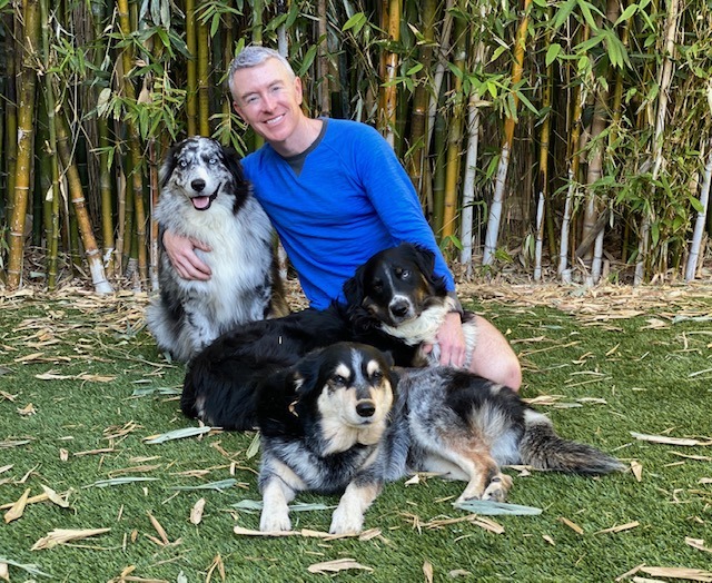 A man in a blue shirt sits among three dogs, smiling. The backdrop features bamboo, providing a natural, serene setting that highlights the bond with his pets.