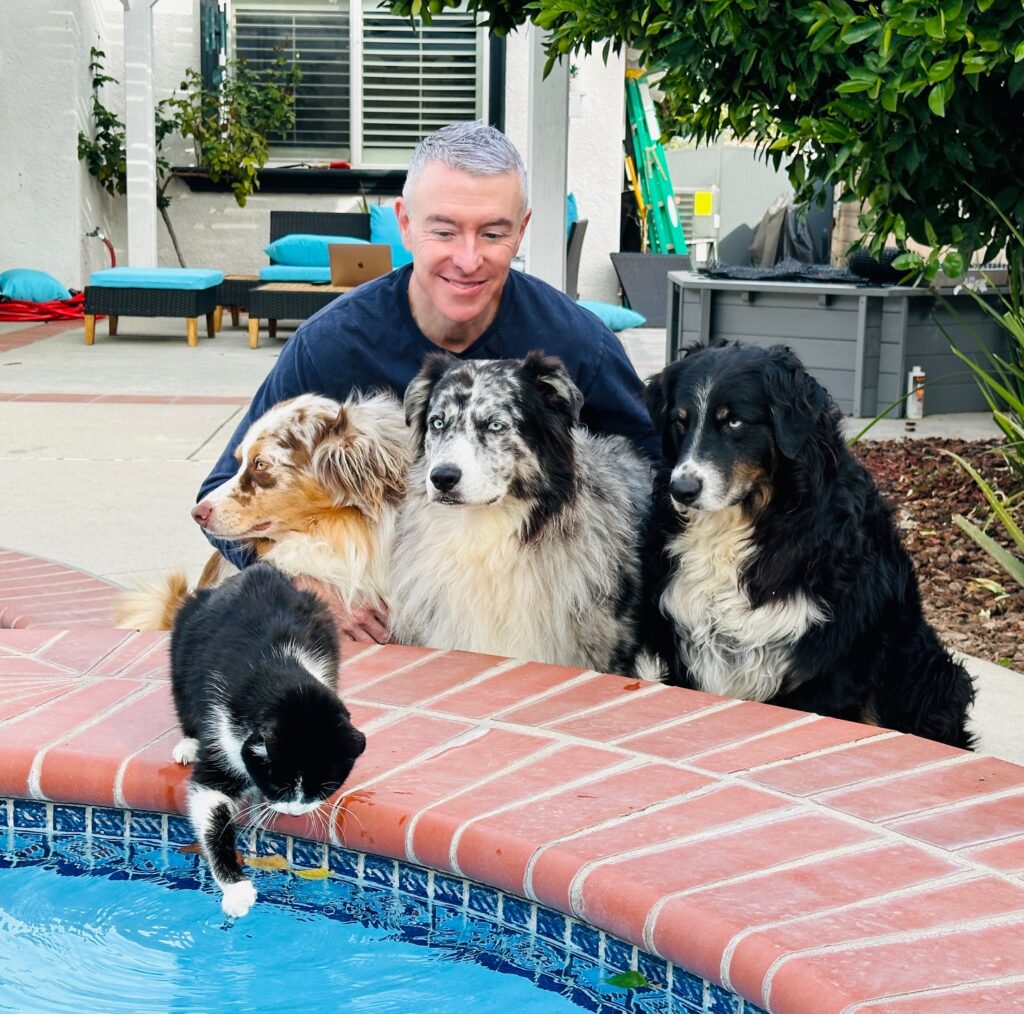 A man sits at a poolside with four dogs, while a curious cat leans over the edge, reaching for the water. The scene captures a playful, relaxed moment.
