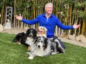 A man in a blue sweater poses happily with three dogs on green grass, surrounded by bamboo and decorative stones. The image conveys joy and companionship.