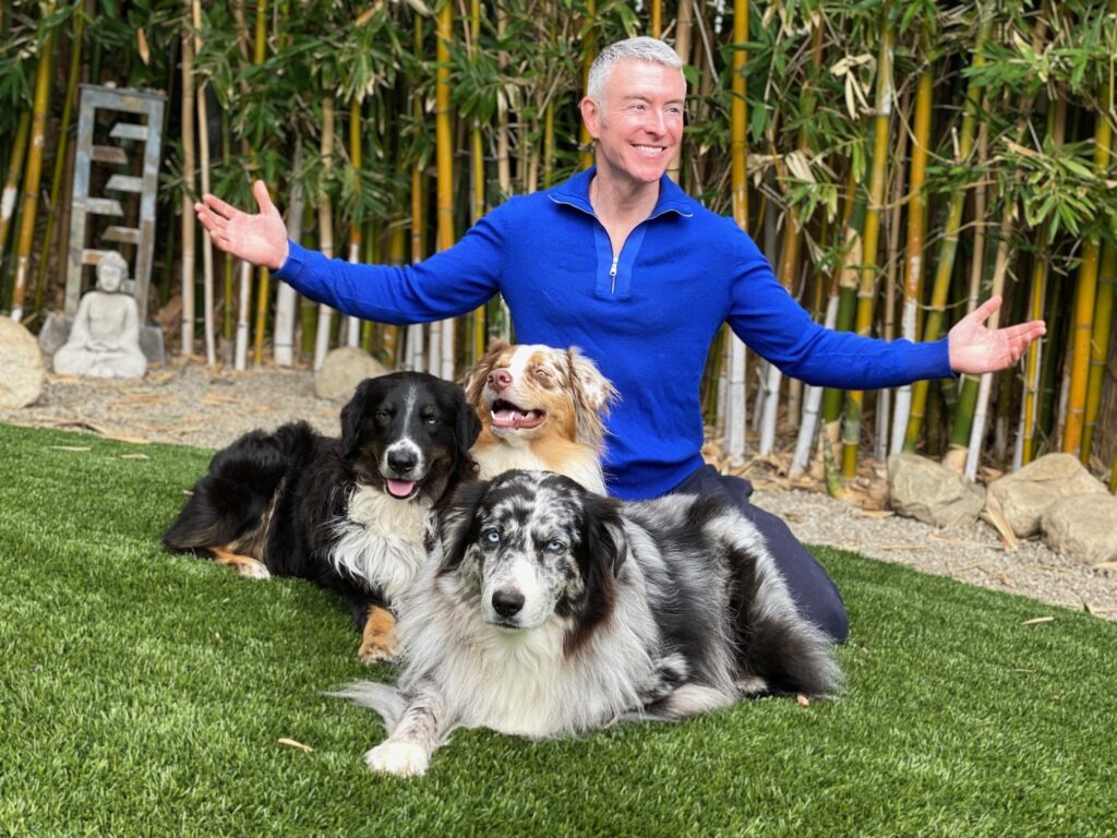 A man in a blue sweater poses happily with three dogs on green grass, surrounded by bamboo and decorative stones. The image conveys joy and companionship.