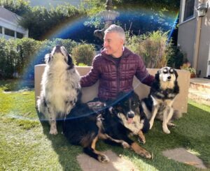 A man sits on a bench surrounded by four dogs, enjoying a sunny day in a garden with lush green grass and a fountain in the background.