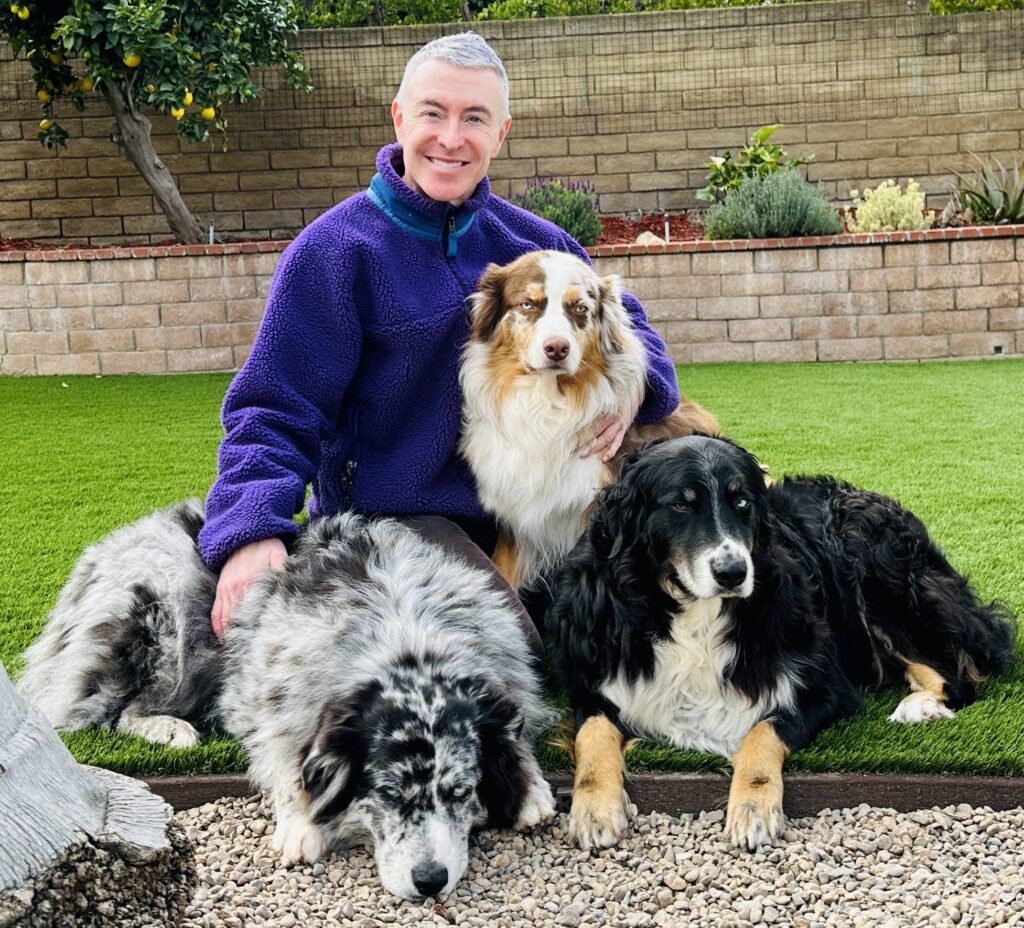 A smiling person in a purple jacket sits on the grass, surrounded by three dogs: a black and white dog, a brown and white dog, and a black dog.