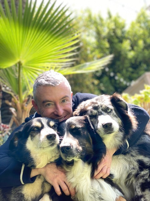 A man joyfully cuddles three dogs in a sunny garden, surrounded by greenery. The image captures a moment of affection and companionship.