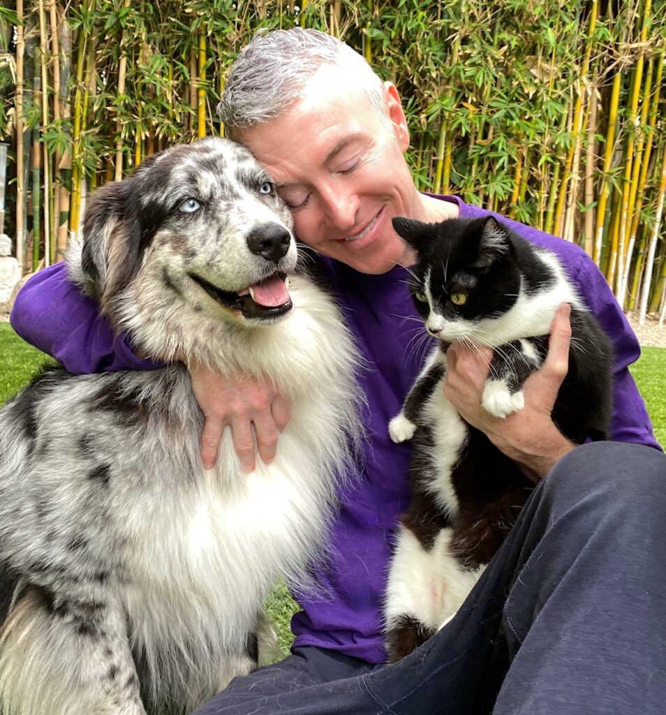 A person in a purple shirt joyfully embraces a blue-eyed dog and a black-and-white cat, surrounded by lush green bamboo.