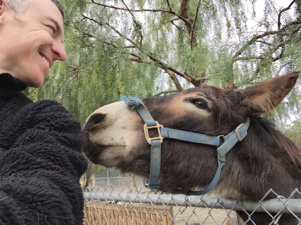 A person smiles while leaning close to a donkey, showcasing a moment of connection. The setting features greenery and a fence, highlighting a friendly interaction.