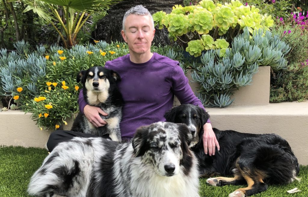 A person sits peacefully among three dogs in a lush garden, highlighting the tranquility and connection between humans and pets.