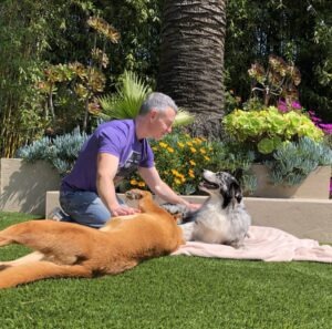 A man interacts affectionately with two dogs in a sunny garden filled with colorful flowers and greenery, promoting a warm, playful atmosphere.