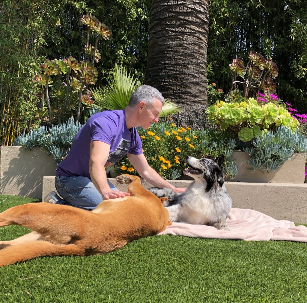 A man interacts affectionately with two dogs in a sunny garden filled with colorful flowers and greenery, promoting a warm, playful atmosphere.