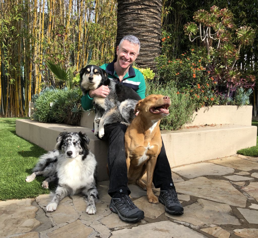 Man seated on a stone patio surrounded by three dogs, smiling warmly. Lush greenery and colorful flowers create a cheerful outdoor setting.