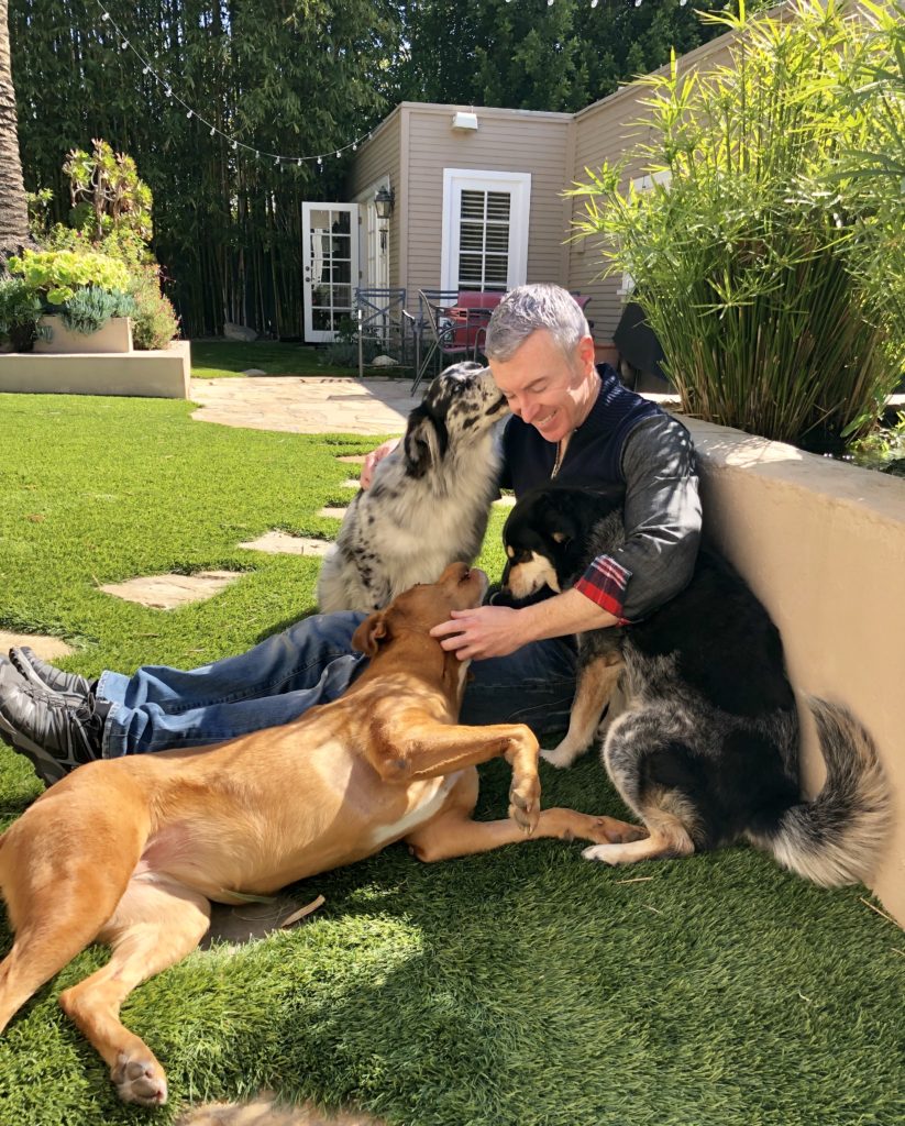 A man sits on grass surrounded by three dogs, enjoying playful interactions. A warm, sunny yard setting enhances the joyful atmosphere.