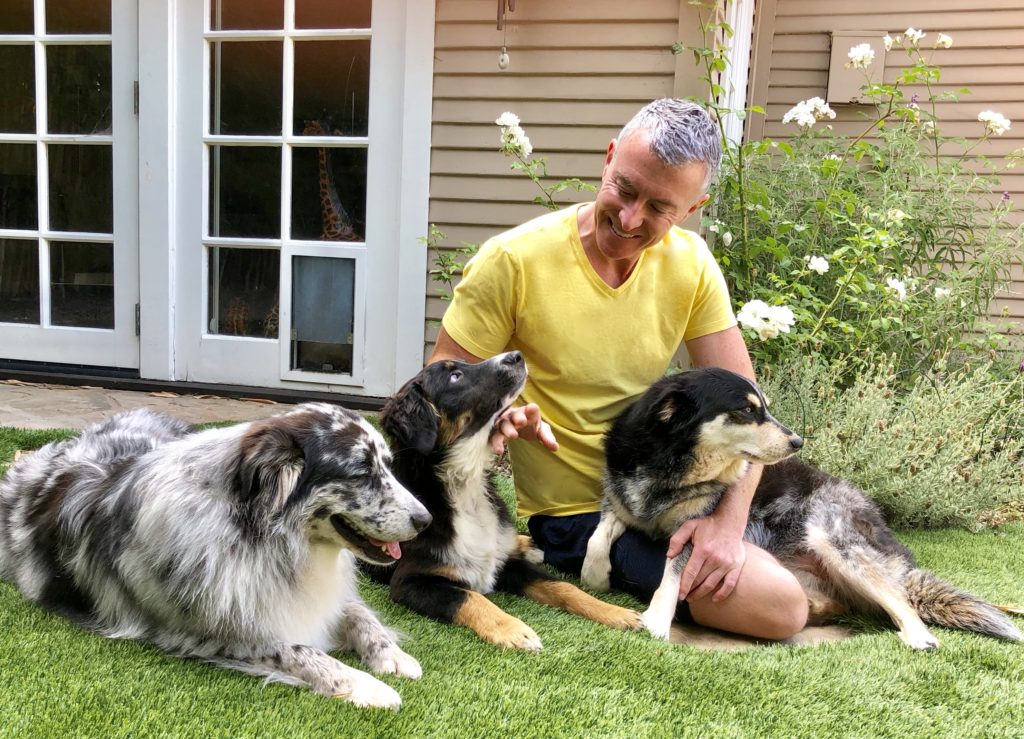 A man in a yellow shirt sits on the grass with three dogs, lovingly interacting with them. The setting features a cozy home and garden, emphasizing companionship.