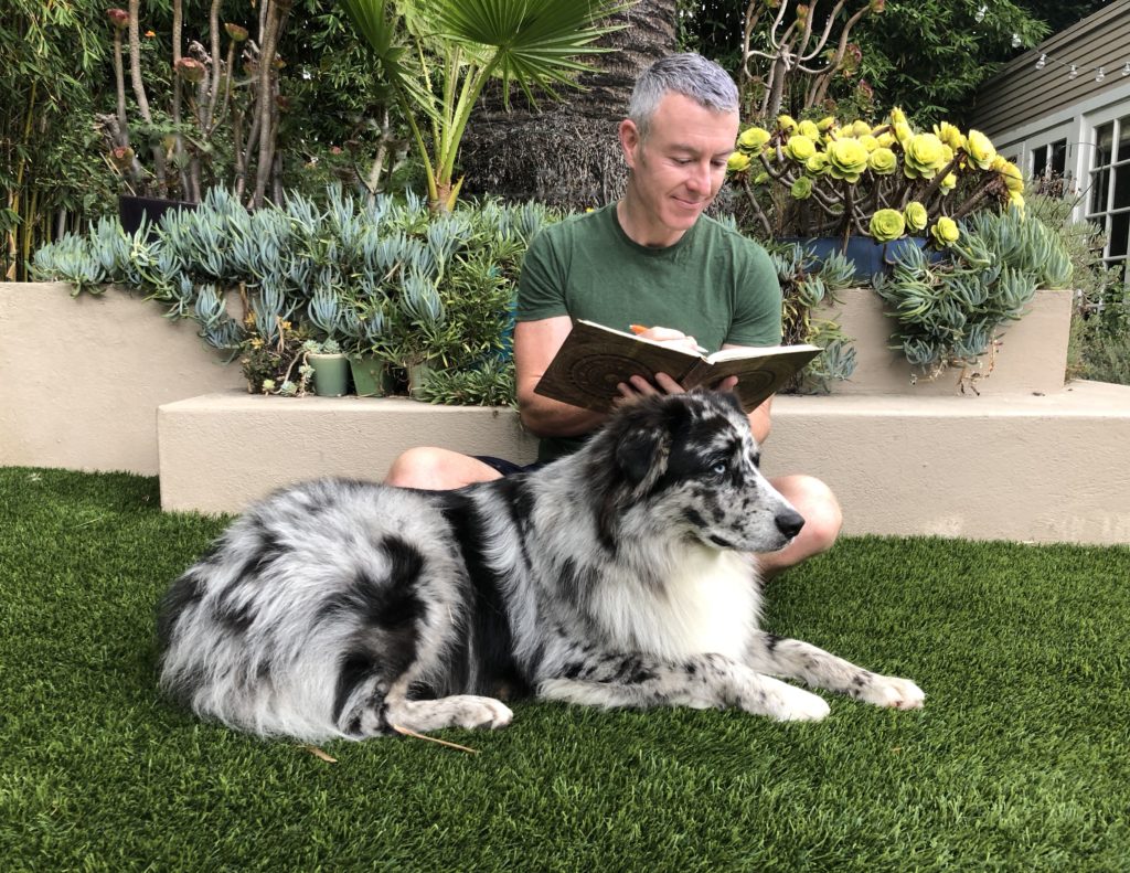 A man reads a book while sitting on grass next to a large, fluffy, black-and-white dog. Lush greenery and succulents frame the cozy outdoor scene.