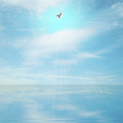 bird graphic for module