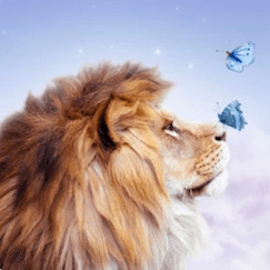 lion graphic for module