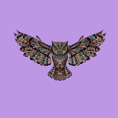 owl graphic for module