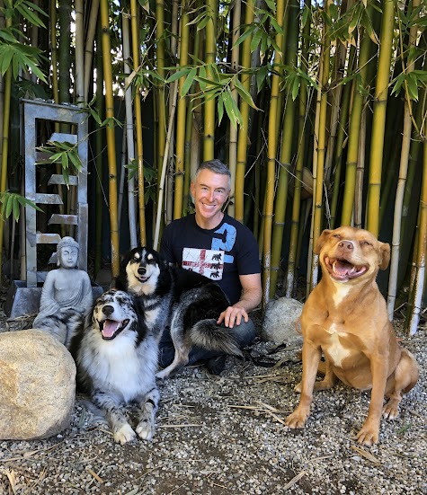 Man sitting peacefully among three dogs in front of bamboo, enjoying a serene moment, highlighting companionship and tranquility.