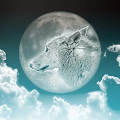 wolf over moon graphic for module
