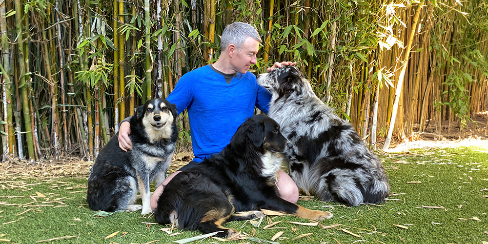 Animal communication session - Michael Burke connecting with dogs